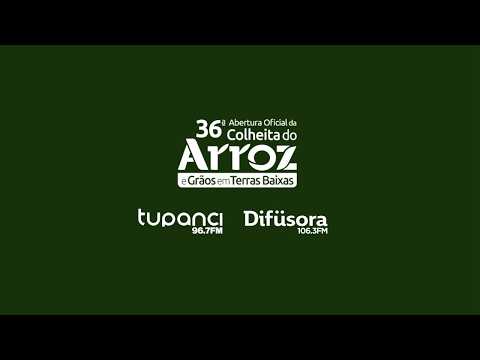 PODCAST Colheita do Arroz 2026 | Conectando Campo e Mercado | 25/02/2026