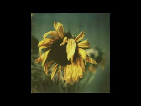 Unidentified Song ("Thought So At The Time")