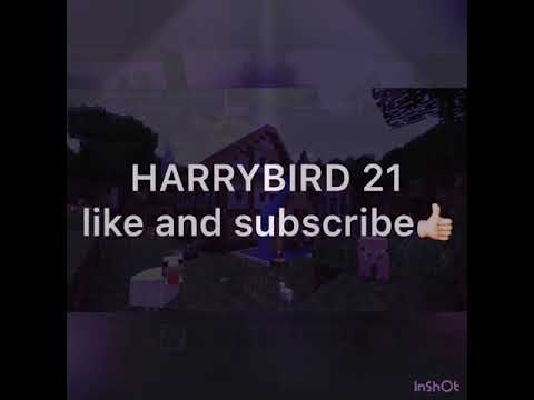 Last to Stop GAMING WINS $10,000