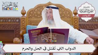 [809] الدواب التي تُقتل في الحل والحرم - عثمان الخميس