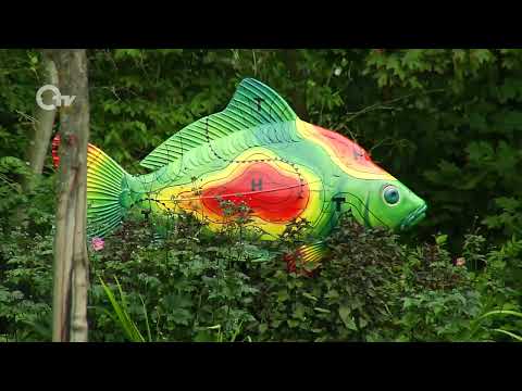 Urlaub dahoam in der Stadt Kemnath