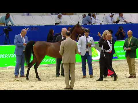 44 ERALDA Dubai 2018