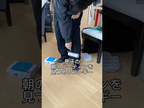 毎朝愛犬を引き離す息子と意地でも引っ付きたいコーギー #コーギー  #shorts  #看板犬