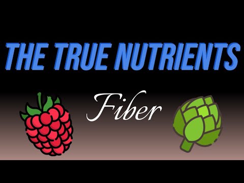 Fiber - The True Nutrients