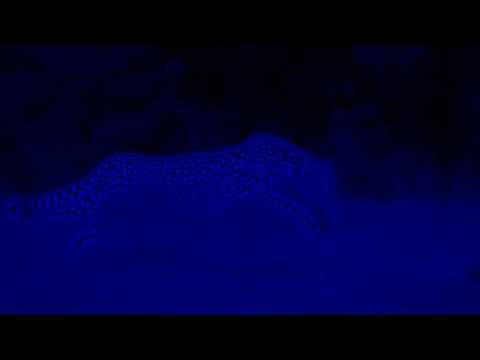 Switchdance, Twofold - Entre Espadas [Karakter Records]