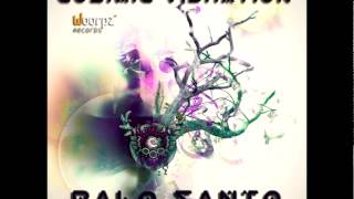 Cosmic Vibration - Palo Santo (album preview)