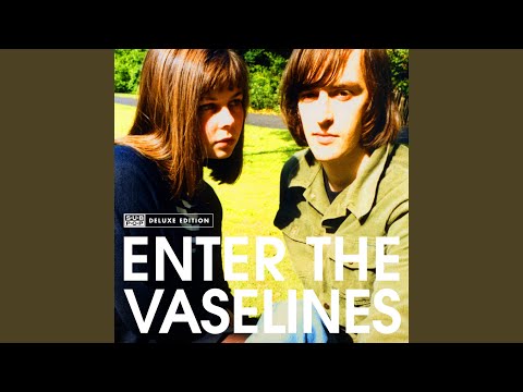 Son Of a Gun - The Vaselines