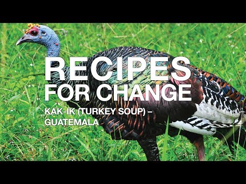 Recipes for Change: Kak-Ik (Turkey Soup)