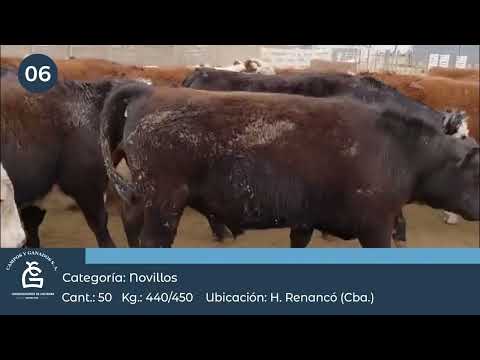 Lote Nv Consumo - Villa Huidobro Córdoba