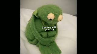 Cover art for jugaste y sufri