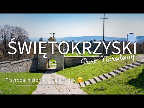 Świętokrzyski Park Narodowy. Gołoborza, klasztor i... Dąb Bartek