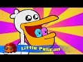 Little Pelican Silly Song JellyBug