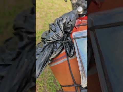 paranacity #cacadordelendas