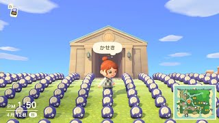 【どうぶつの森】のんびり配信
