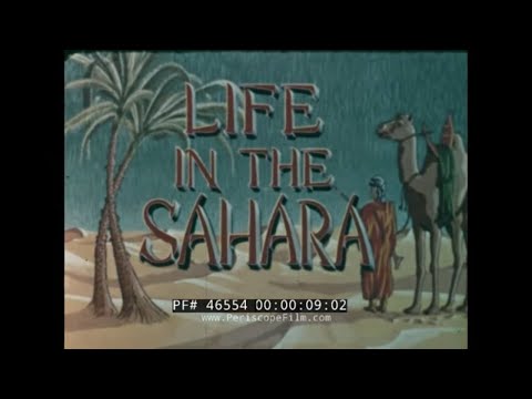 1953 LIFE IN THE SAHARA DESERT FILM  BEDOUINS, ARTESIAN WELLS & OASIS DOCUMENTARY  46554