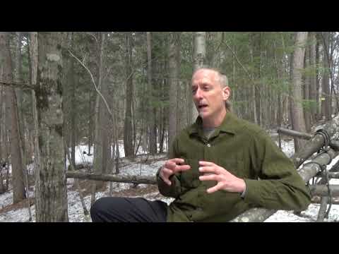 Transforming Performance Pressure