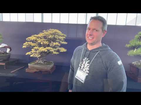 Artists’ Highlight at the Pacific Bonsai Expo 2022 - Bonsai Exhibition - Baikoen Bonsai Club