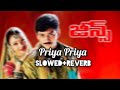 Priya Priya champodde (Slowed+Reverb)