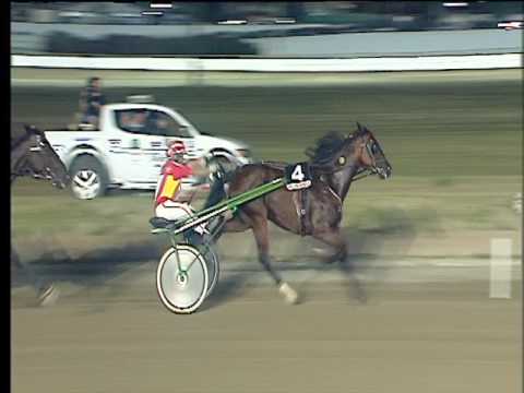 Trotto 01/07/2017 - 10ª corsa