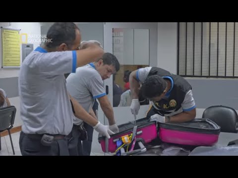 Podczas otwierania walizki narkotyki zaczęły unosić się w powietrzu [Alarm na lotnisku]