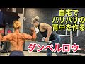 自宅でバキバキの背中を!超効果的ダンベルロウ紹介!【筋トレ】