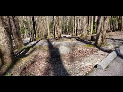 An overview of site B24; many of the  sites are laid out like this with parallel parking along the road and the site with tent pad, picnic table, and fire ring either above or below the road