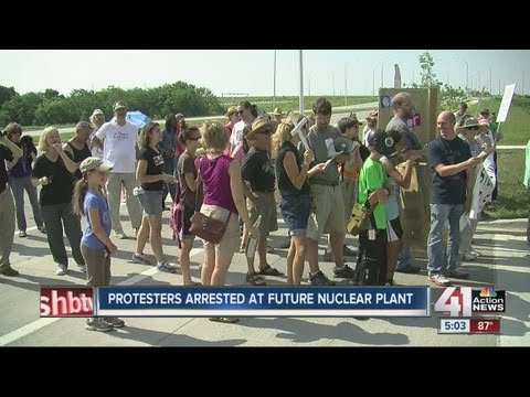 24 arrested in nuclear plant protest