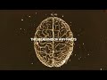 Negativland - This Is Not Normal/Yellow, Black & Rectangular
