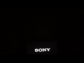 Sony Columbia Pictures Annapurna Pictures Point Grey Sausage Party 2016
