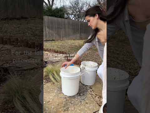 Processing Wild Clay - Day 2