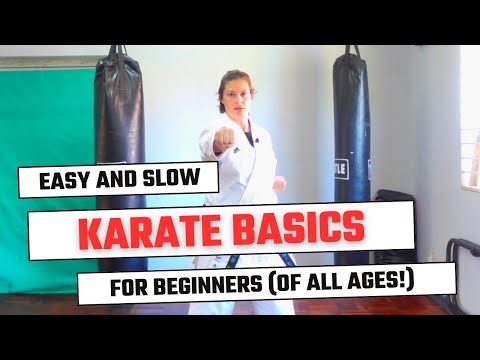 Karate Basics for Beginners (all ages)