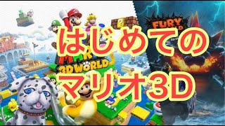 本日発売！スーパーマリオ ３Ｄワールド ＋ フューリーワールド【はんぞうGames】