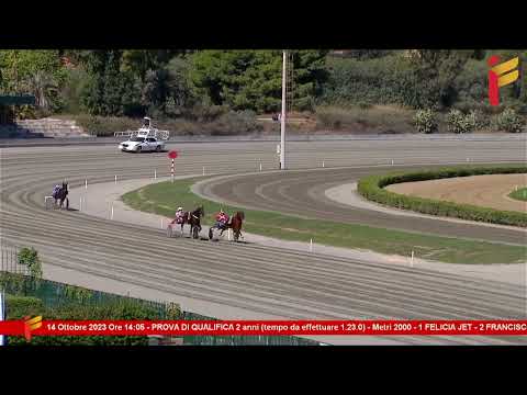 II prova di qualifica del 14 ottobre 2023 - 2 Anni - Metri 2000