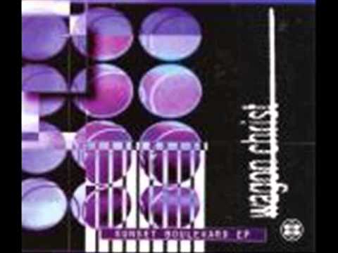 Wagon Christ (Luke Vibert) - Sleeper