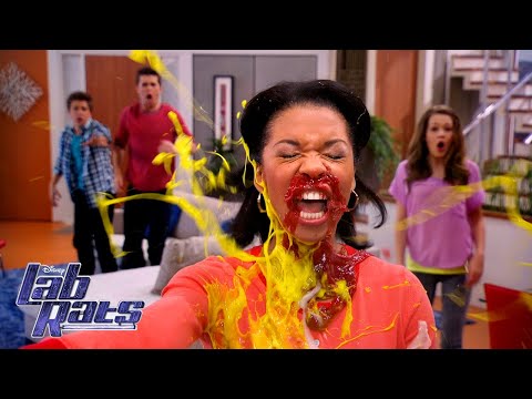 Human Hot Dog Prank | Lab Rats | Disney XD