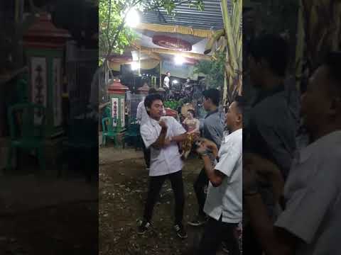 Goyang Mletre Asyeek