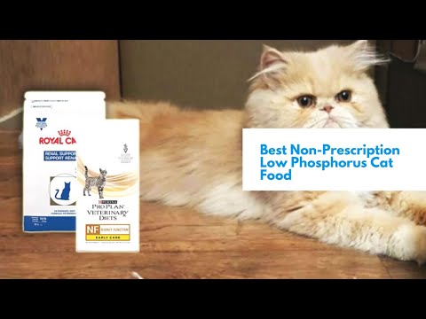 Best Non-Prescription Low Phosphorus Cat Food