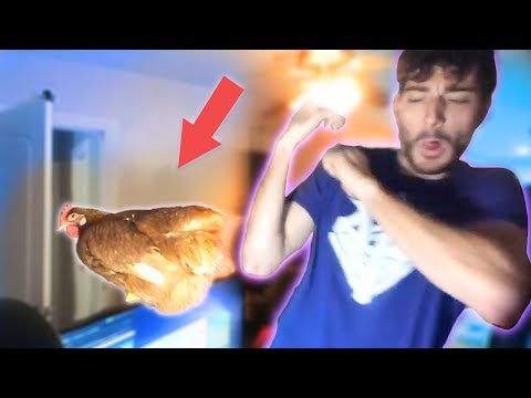 Ice Poseidon Is SCARED of his PET CHICKEN (Live stream...
