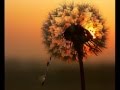 Pink Floyd - Stay