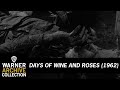 Days of Wine And Roses (1962) – Find The Bottle