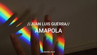 Amapola - Juan Luis Guerra // Letra //