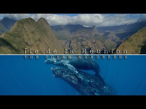 île de la Réunion | The Ocean Wanderers