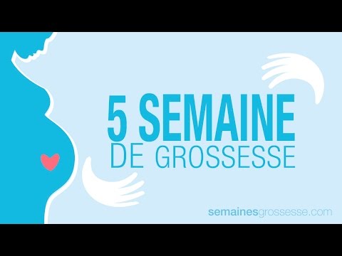 5 semaines de grossesse | Semaine 5 de grossesse | La grossesse semaine par semaine