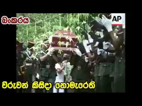 Sebalana ne oba maruna nowe