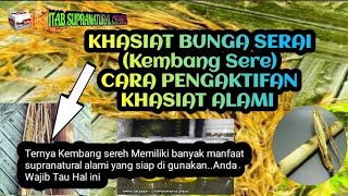 Download lagu Ilmu Pengaktifan Kembang Sere.(BUNGA SERAI)|Ternyata ada energi Supranatural yang terkandung. mp3