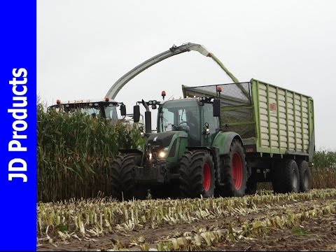 Mais/2015/Claas Jaquar 940/Harvesting maize/Maishäckseln/Maishakselen/BMWW/Nijkerkerveen