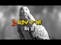 Baaz Attitude Punjabi Shayari WhatsApp Status New Punjabi Shayari 2022 Reyman Jatt