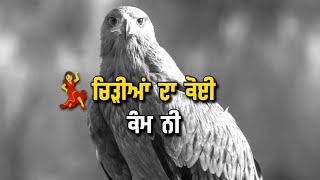 Baaz🔥  Attitude Punjabi Shayari  Whatsapp Statu
