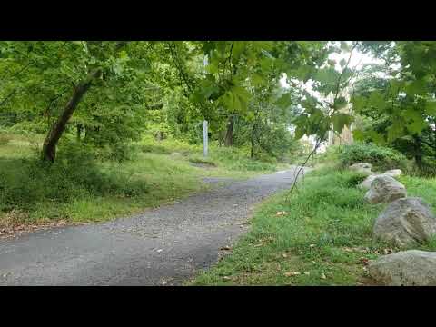 The Death of a Town | Lonely, Mute Testament of Doodletown in Harriman State Park. #yankeedoodle