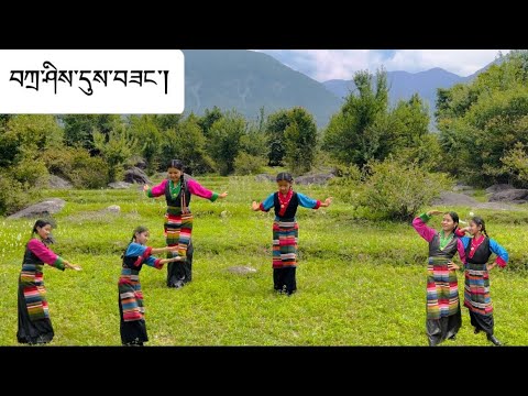 Tibetan Dance 2023 ༼བཀྲ་ཤིས་དུས་བཟང་།༽Tashi Dhuesang @PhurbuNamgyal #tibetandancegorshey